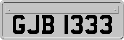 GJB1333