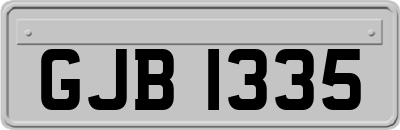 GJB1335