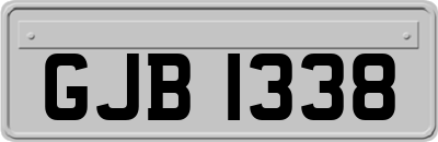 GJB1338