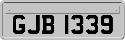 GJB1339