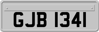 GJB1341