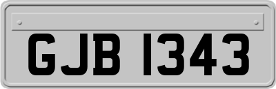 GJB1343