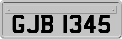 GJB1345