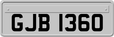 GJB1360