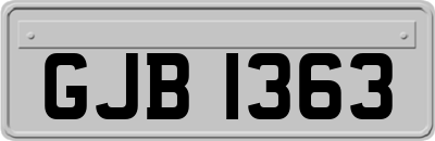 GJB1363