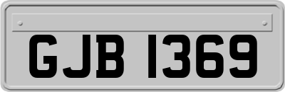 GJB1369