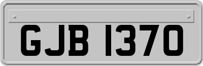 GJB1370