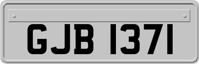 GJB1371