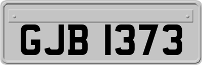 GJB1373