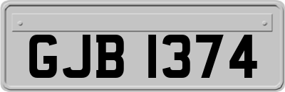 GJB1374