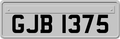 GJB1375