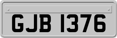 GJB1376