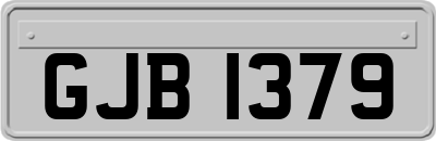 GJB1379