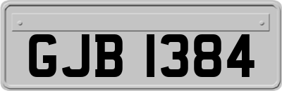 GJB1384