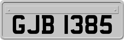 GJB1385