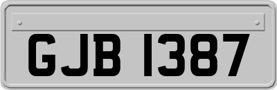 GJB1387
