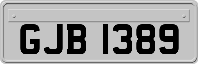 GJB1389