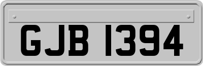 GJB1394