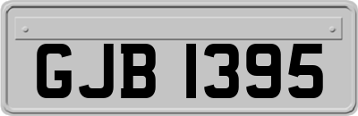 GJB1395