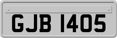 GJB1405