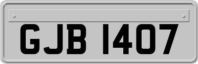 GJB1407