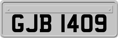GJB1409