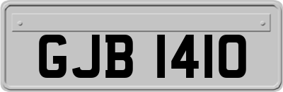 GJB1410