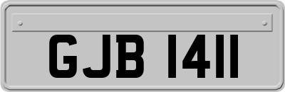 GJB1411