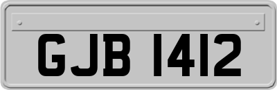 GJB1412