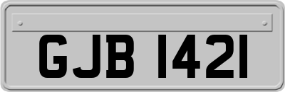 GJB1421