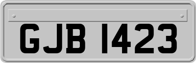 GJB1423