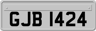 GJB1424