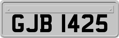GJB1425