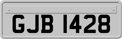 GJB1428