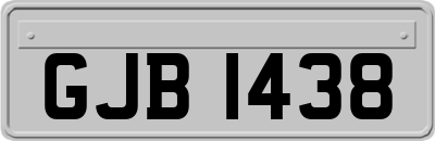 GJB1438