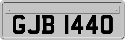 GJB1440