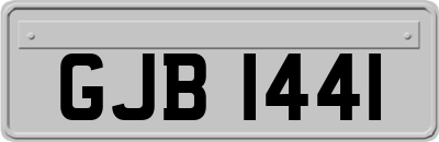 GJB1441