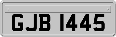 GJB1445