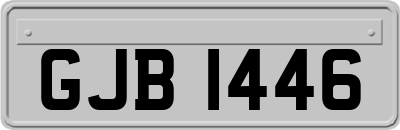 GJB1446