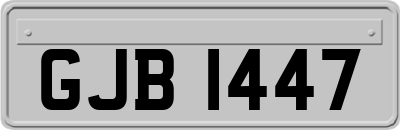 GJB1447