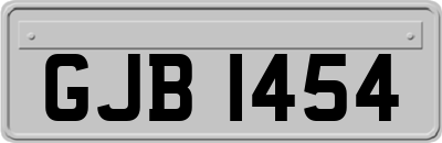 GJB1454