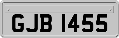 GJB1455