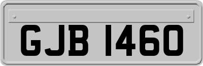 GJB1460