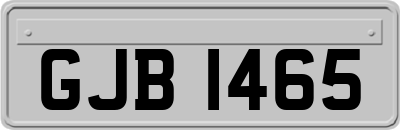 GJB1465