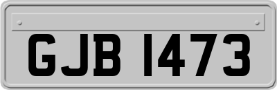 GJB1473