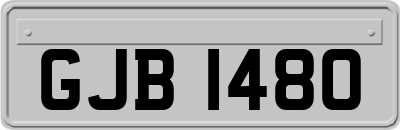 GJB1480