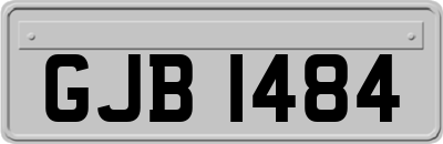 GJB1484