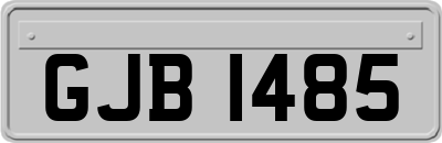 GJB1485