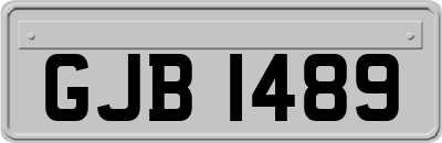 GJB1489