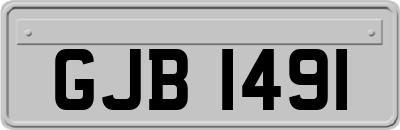 GJB1491